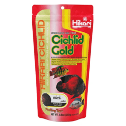 Hikari Cichlid Gold Medium 250gm