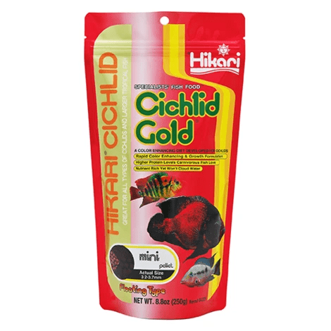 Hikari Cichlid Gold Medium 250gm Hikari Cichlid Gold Medium 250gm