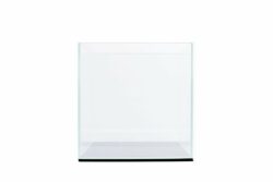 10Inch Ultra Clear Tanks