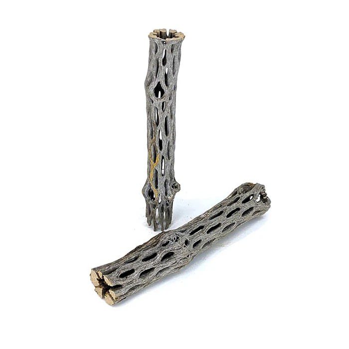 Cholla Wood Cholla Wood