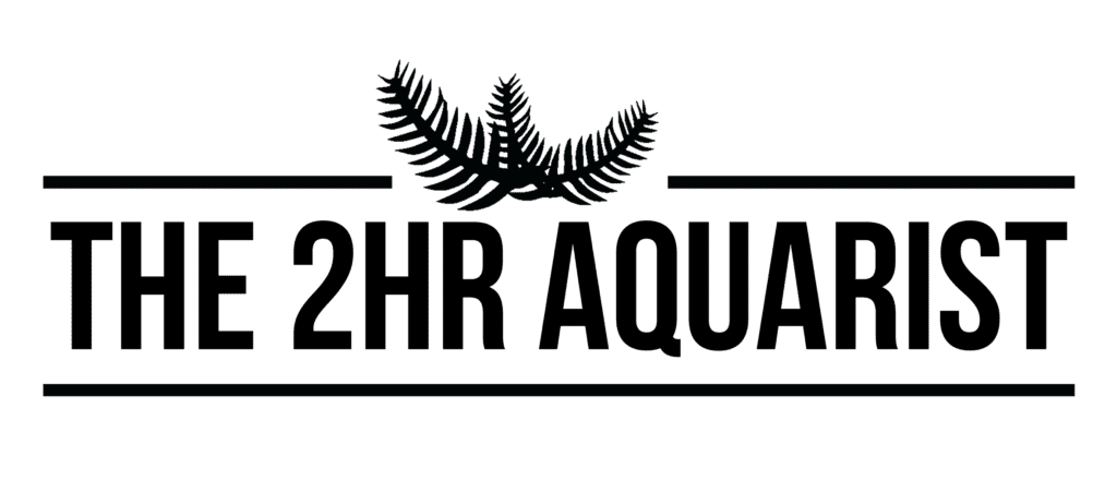 2Hr Aquarist