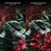 2Hr Aquarist APT Fix - Image 7