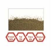 WA Goldfish Grandeur Pellets | 500ml – 200g - Image 2