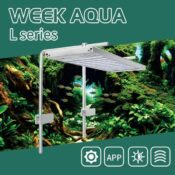 WEEK AQUA L PRO Back Mount