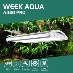 WEEK Aqua A430 Pro LED Black
