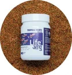 Life Aayu Food Tropical Treats – Small | 70gm