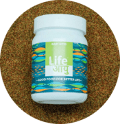 Life Aayu Food Baby Bites | 30gm - Image 2