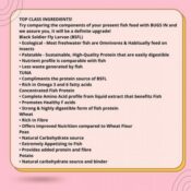 BUGS-IN Cichlid Formula | 100g - Image 4