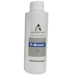 AquaVascular Phosphorus P Boost