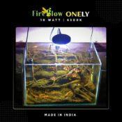 FireGlow ONELY Clip LED 10W