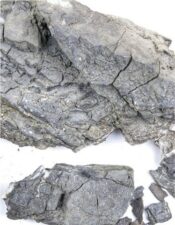 FRODO Stone | 20Kg Box - Image 4