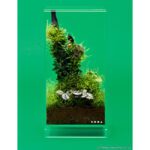 DOOA Neo Glass AIR W15×D15×H30 (cm)