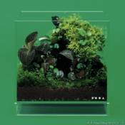 DOOA Neo Glass AIR W20×D20×H20 (cm)