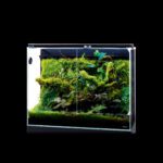 DOOA SYSTEM PALUDA 60