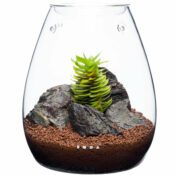 DOOA Glass Pot SHIZUKU - Image 2