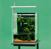 DOOA Mistflow - Image 5