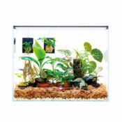 DOOA NEO Glass PALUDA 30 - Image 3