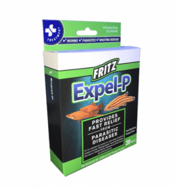 Fritz Expel P