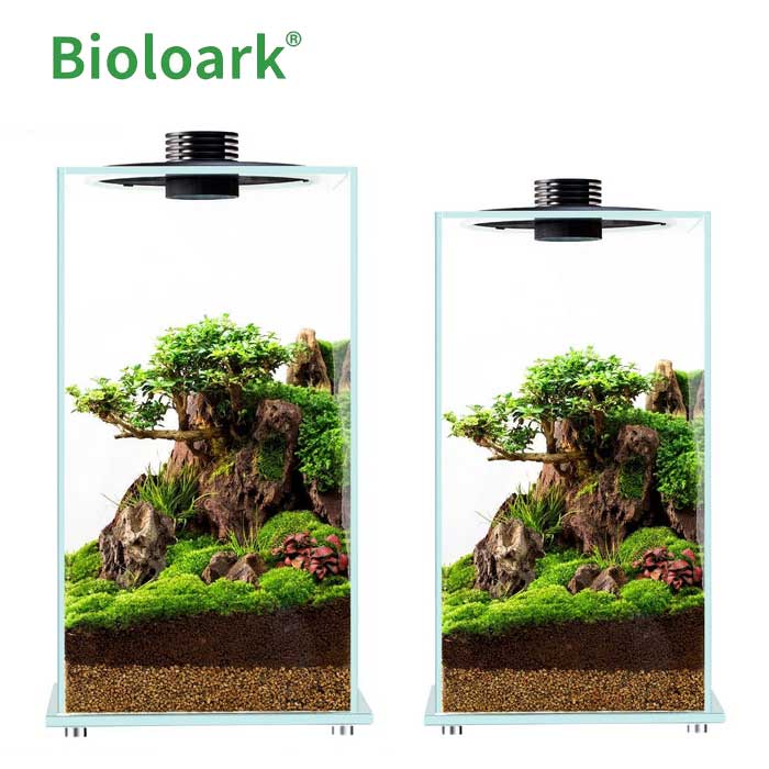 BIOLOARK-Bio-Bottle-Terrarium-ZD-150-ZD-200 BIOLOARK Bio Bottle Enclosed Terrarium Tank - FD200 | FD250