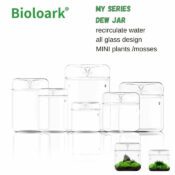 BIOLOARK Luji Glass Cup - Image 2