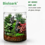 BIOLOARK Luji Glass Cup - Image 3