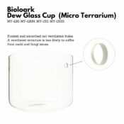 BIOLOARK Luji Glass Cup - Image 9