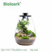 BIOLOARK Bio Bottle SD-175 Tear Drop Terrarium - Image 4