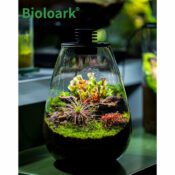 BIOLOARK Bio Bottle SD-175 Tear Drop Terrarium - Image 7