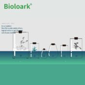 BIOLOARK Bio Bottle SD-175 Tear Drop Terrarium - Image 9