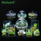 BIOLOARK Bio Bottle SD-175 Tear Drop Terrarium - Image 8