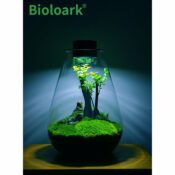 BIOLOARK Bio Bottle SD-175 Tear Drop Terrarium - Image 2