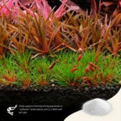 2Hr Aquarist APT SKY - Image 4