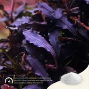 2Hr Aquarist APT SKY - Image 5