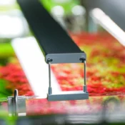 Chihiros B Series LED Lighting System