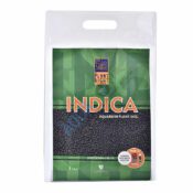 INDICA Aqua Soil | First Time! - Image 6
