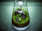 LEDSTAR AQ DOT-2 With Dew Collection Jar - Image 8