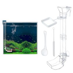 Fish Feeding Ring with Dish Set