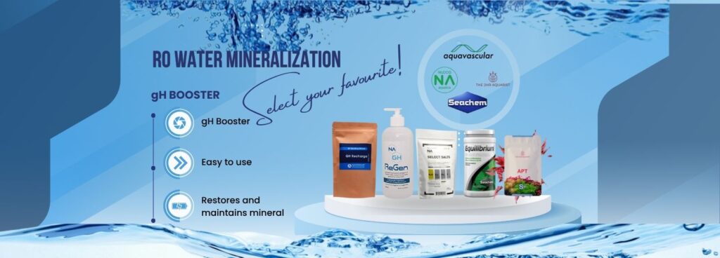 FreshWater Remineralizer