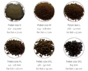 Dr. Bassleer Biofish Food Lapacho - Image 2