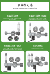 Wyin Aqua Dual Gauge Co2 Pro Series Regulator | WY30-01S